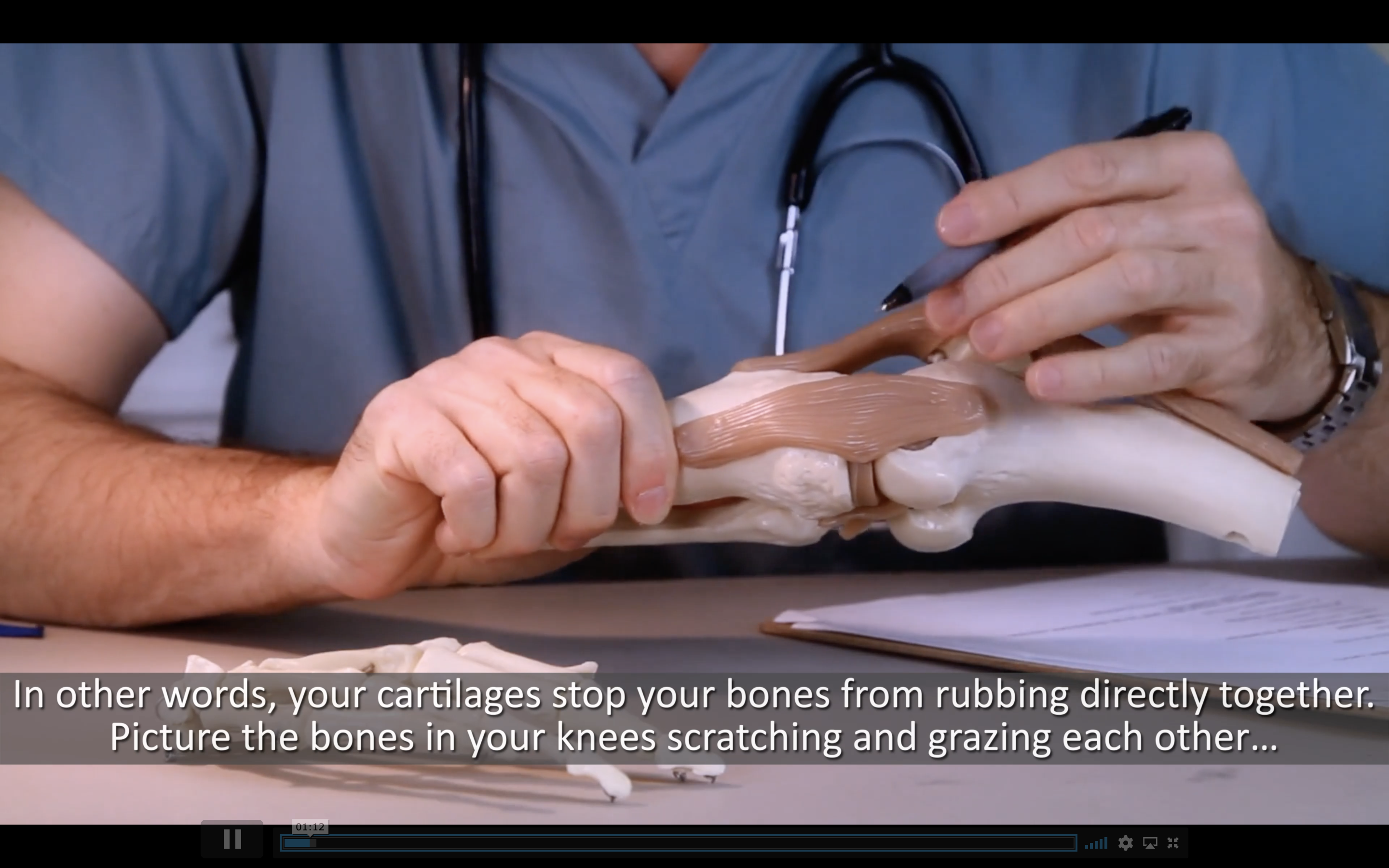 The Knee Pain Relief Codes Program: 90% Commissions General review image from Supplement Skeptic