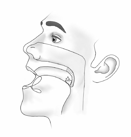 The Stop Snoring and Sleep Apnea Exercise Program Sleep and Dreams review image from Supplement Skeptic