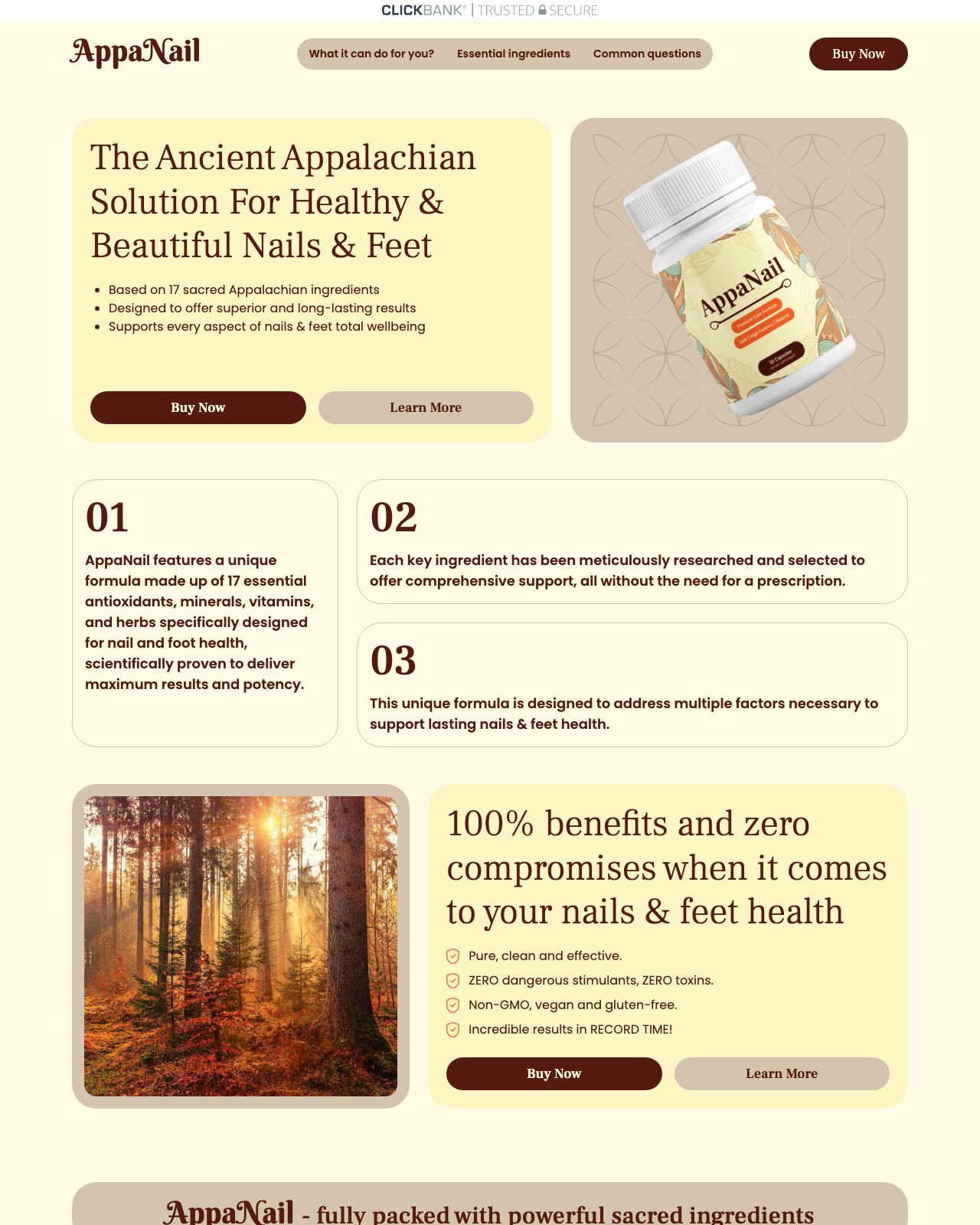 Screenshot of the AppaNail - Hot Native Indian Antifungal Solution sales page — open current offer
