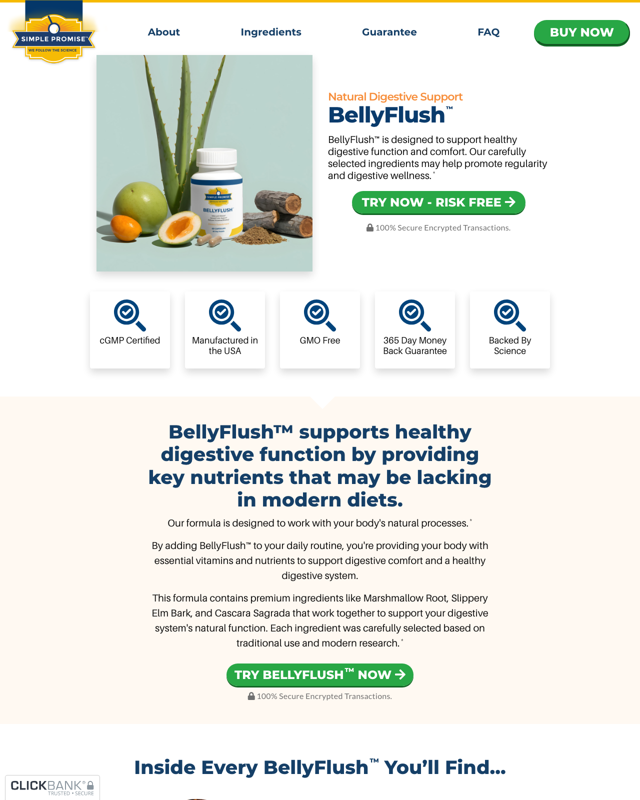 Screenshot of the BellyFlush™ | Gut Cleanse & Digestive Detox | Lose Weight sales page — open current offer