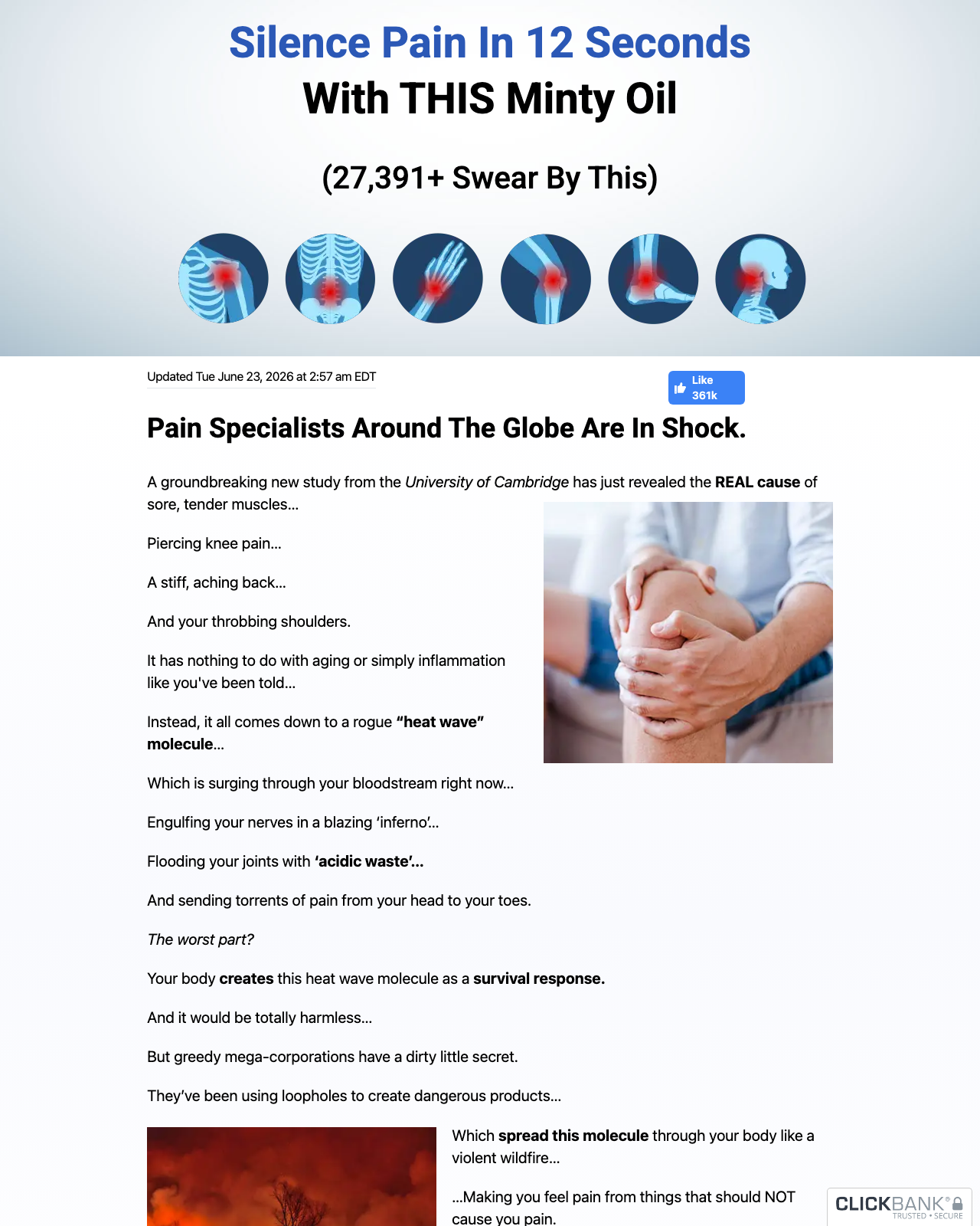 Screenshot of the Insta Soothe Delivers Knee and Joint Pain Relief DEEP Into Your Skin sales page — open current offer