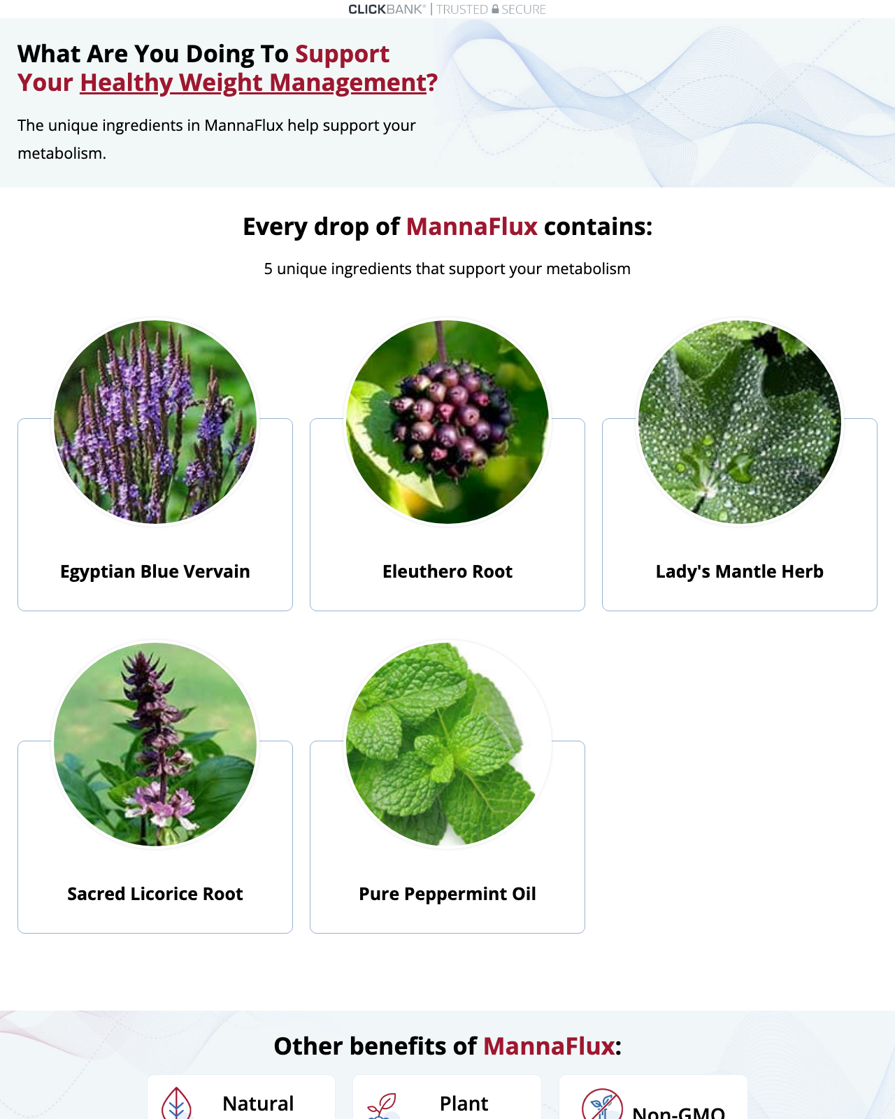 Screenshot of the MannaFlux - 24kt Gold Ormus sales page — open current offer