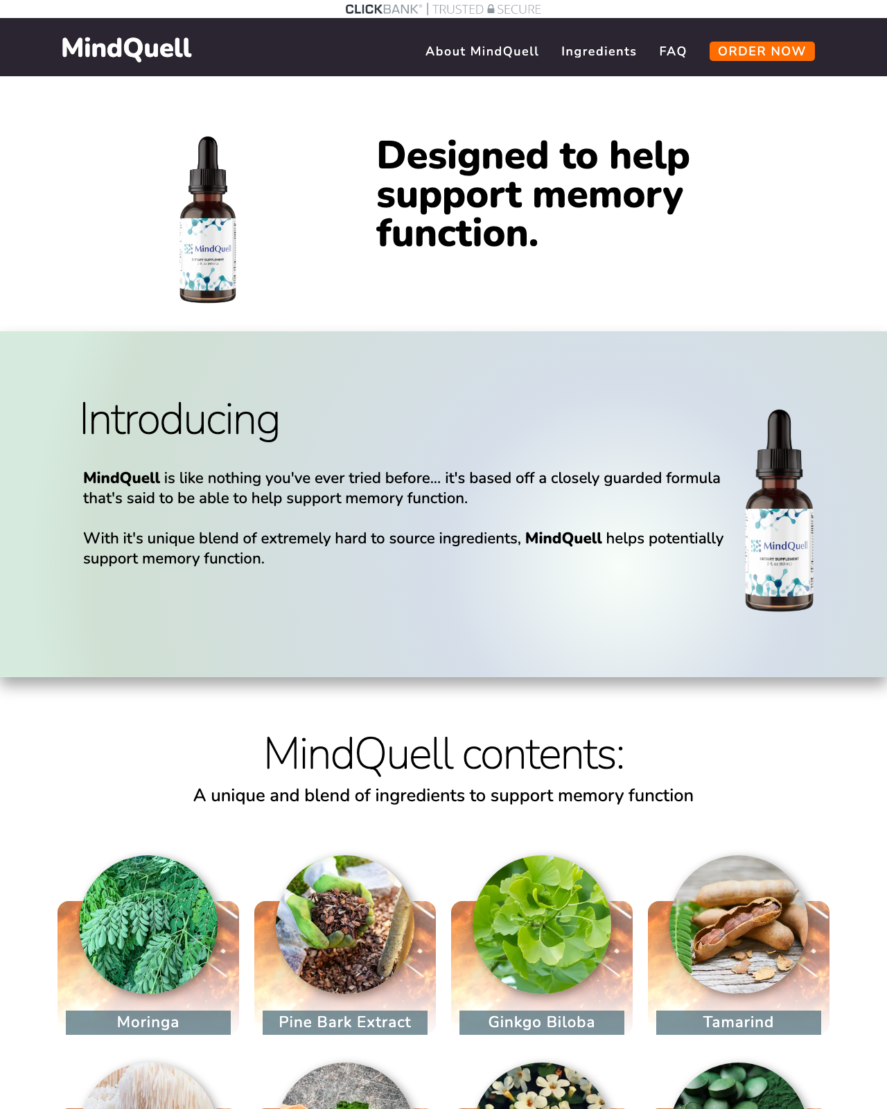 Screenshot of the MindQuell - Brand New Brain Health Supplement for November 2024! sales page — open current offer
