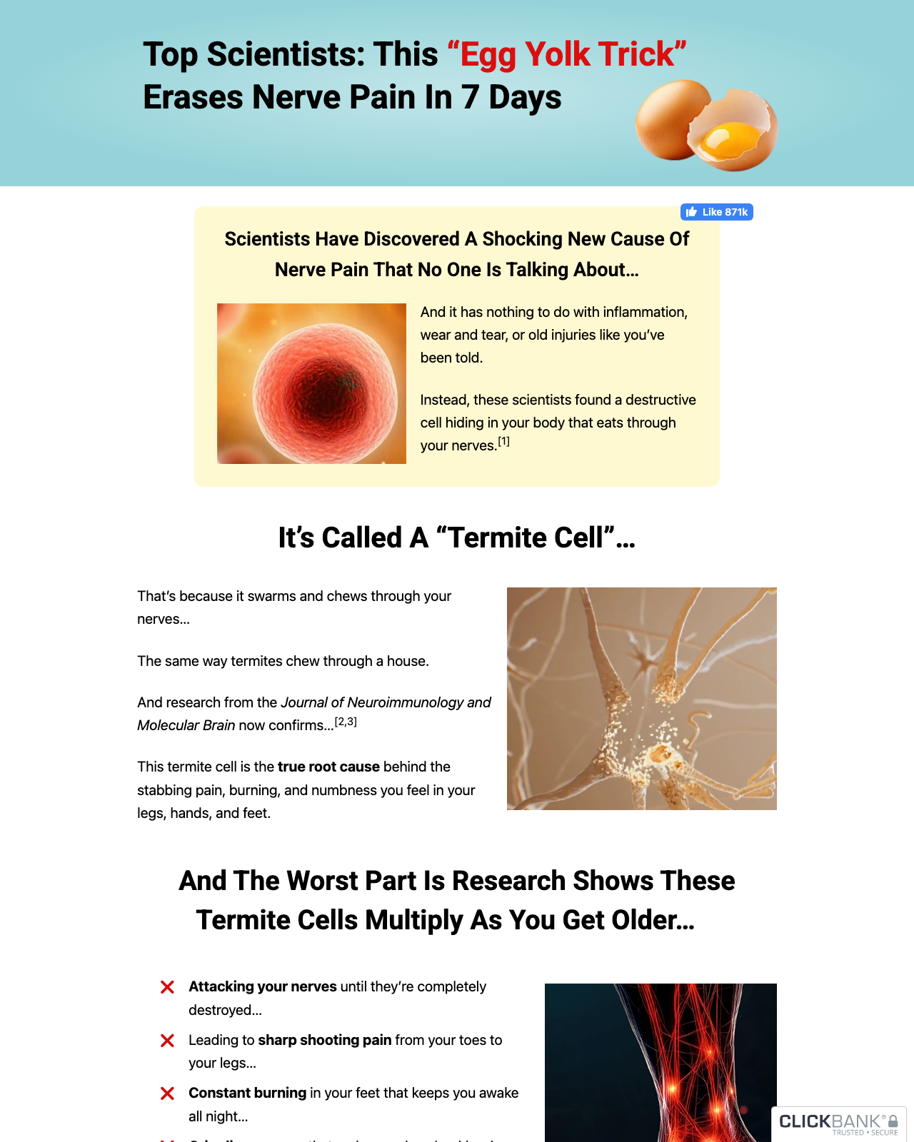 Screenshot of the Nerve Armor Provides Nerve Pain Relief DEEP Into Your Skin sales page — open current offer