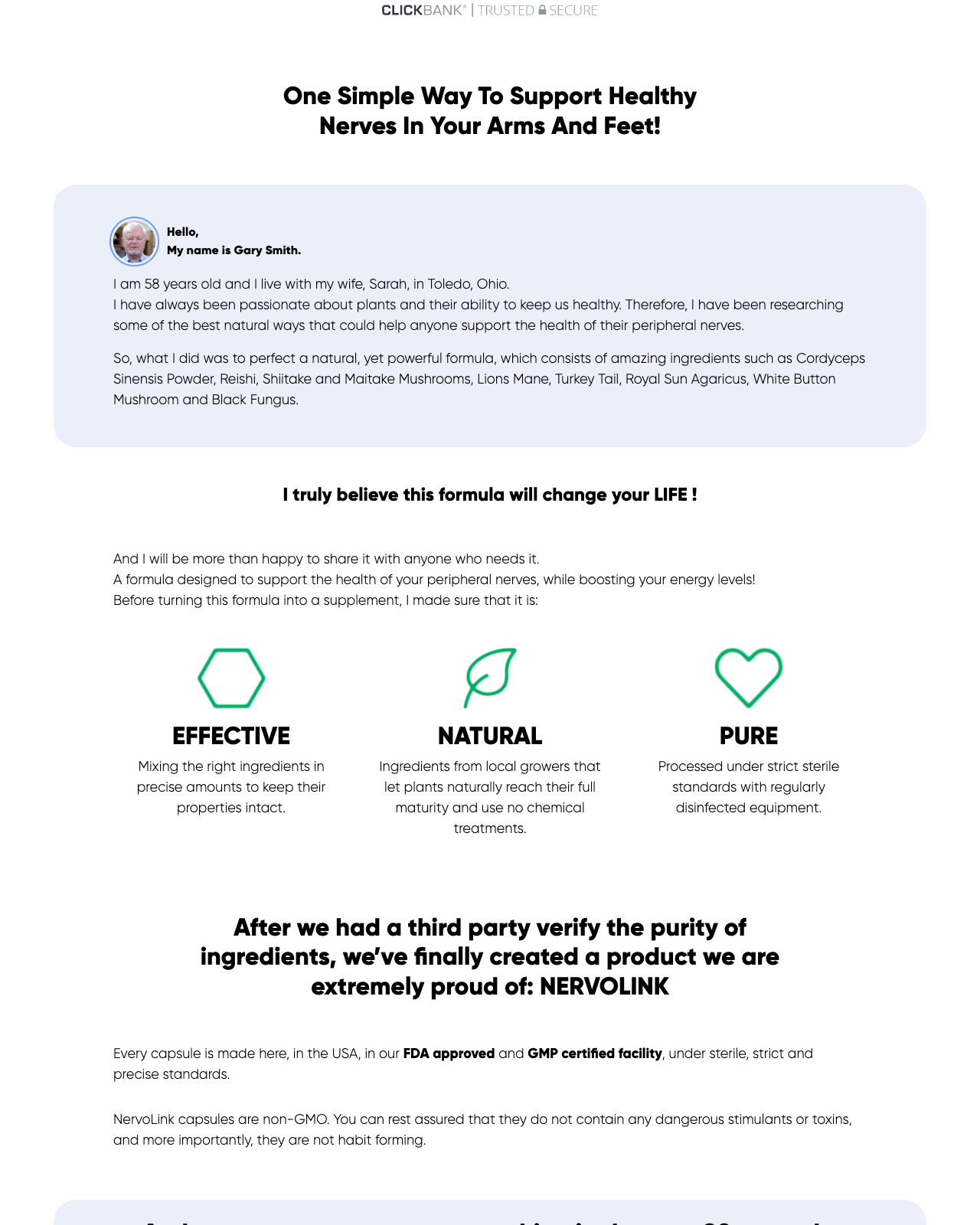 Screenshot of the Nervolink - New Winner In The Nerve Pain Niche sales page — open current offer
