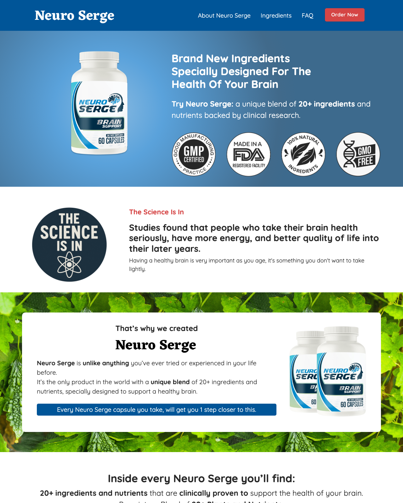 Screenshot of the Neuro Serge sales page — open current offer
