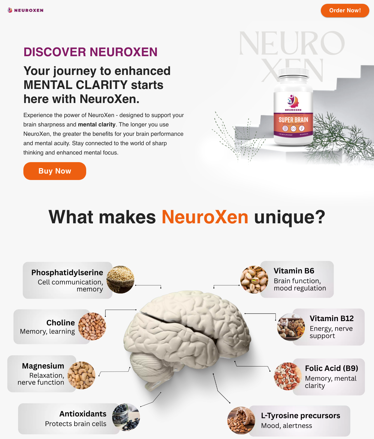 Screenshot of the NeuroXen sales page — open current offer