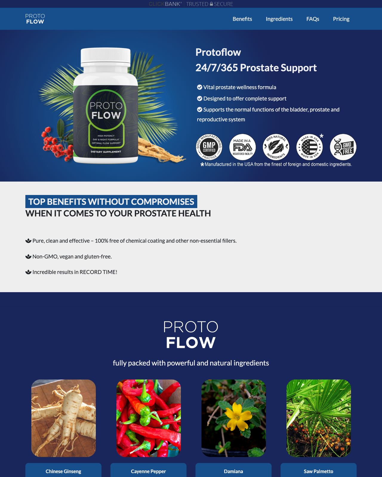 Screenshot of the Protoflow - Convert Clicks Into Cash Now! sales page — open current offer