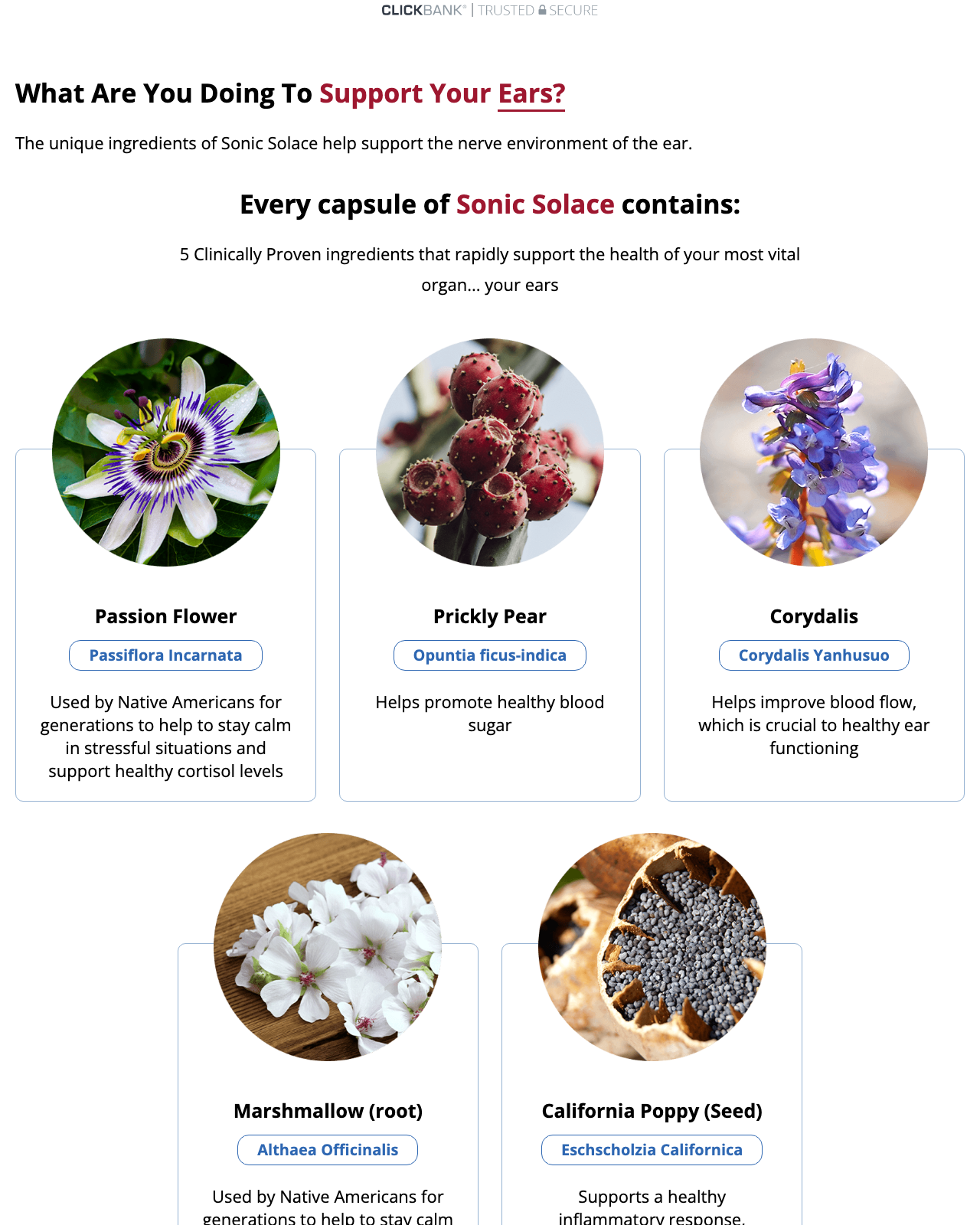 Screenshot of the Sonic Solace – The Hottest New Ear Health Offer on ClickBank! sales page — open current offer