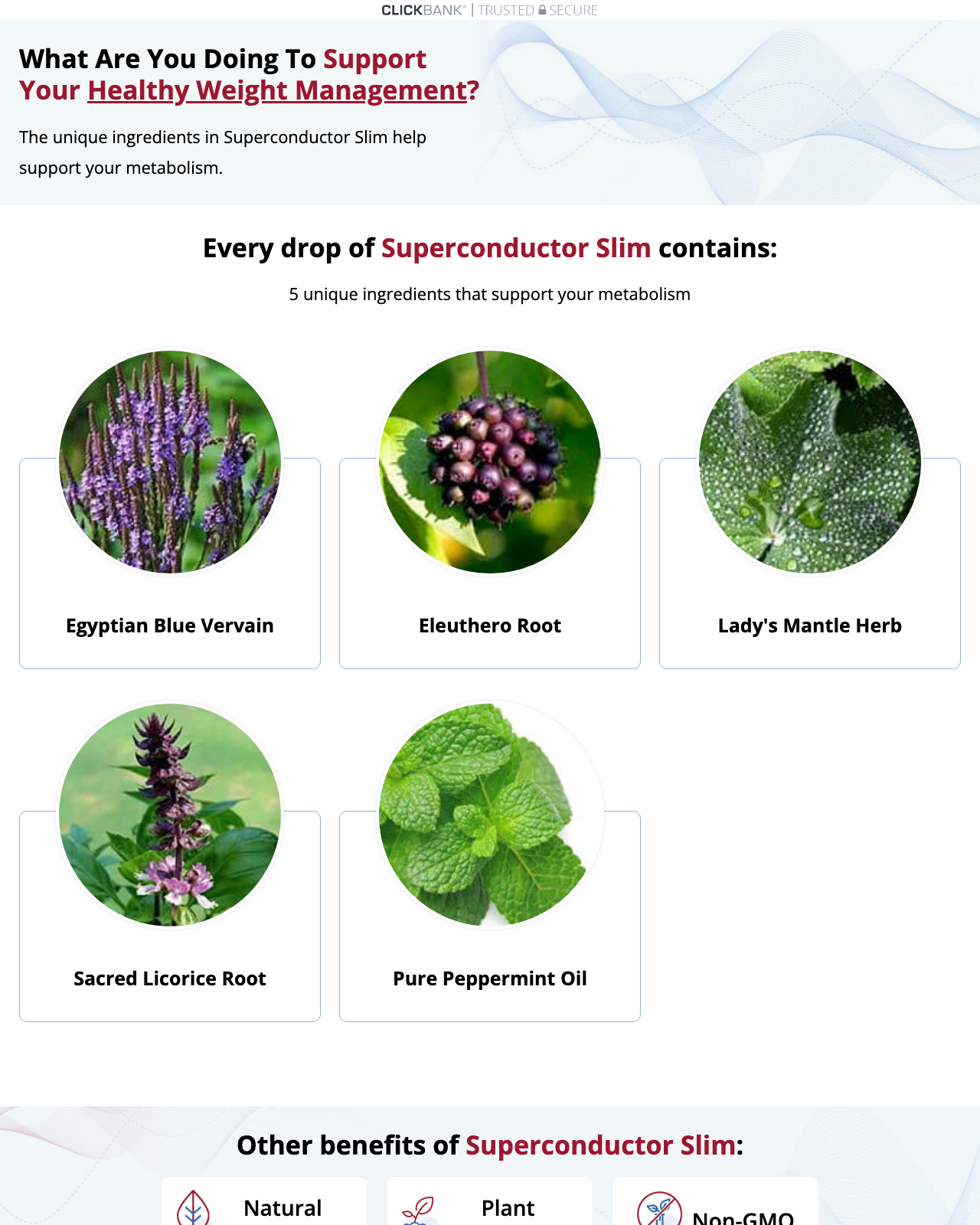 Screenshot of the Superconductor Slim – The Next Evolution of 24kt Gold Ormus! sales page — open current offer