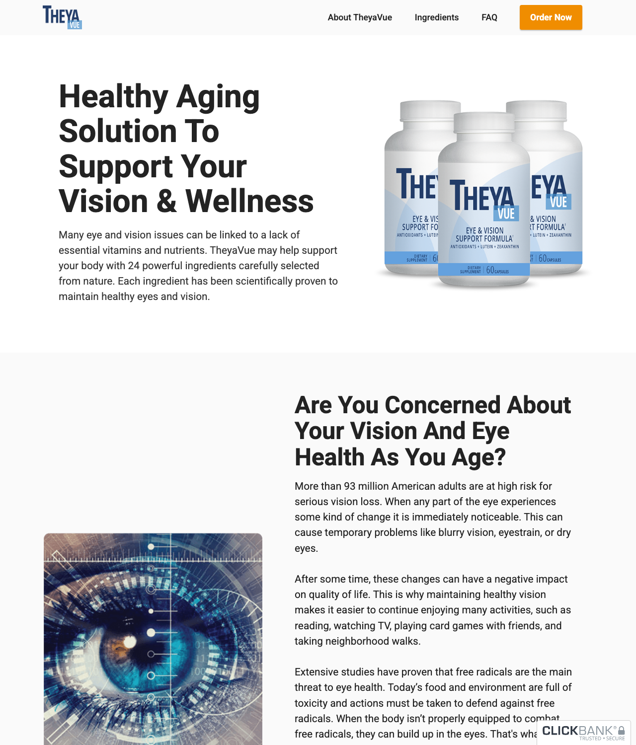 Screenshot of the TheyaVue - High Converting Vision Offer sales page — open current offer