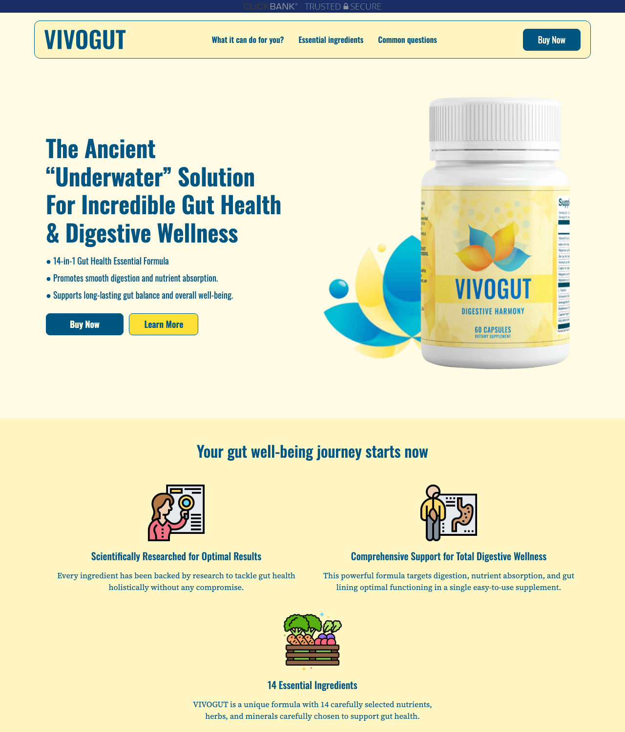 Screenshot of the Top Gut / Digestive Health Offer sales page — open current offer